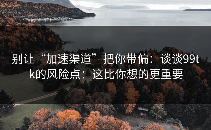 别让“加速渠道”把你带偏：谈谈99tk的风险点：这比你想的更重要
