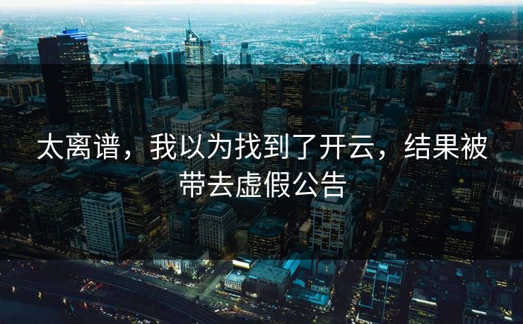 太离谱，我以为找到了开云，结果被带去虚假公告