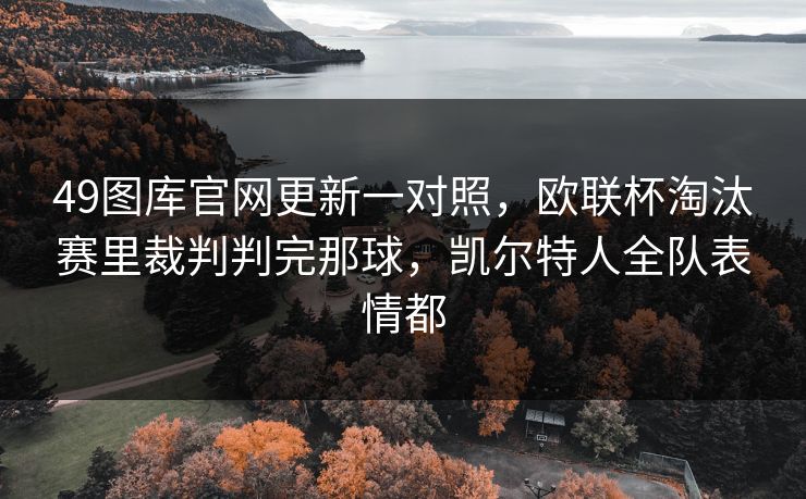 49图库官网更新一对照，欧联杯淘汰赛里裁判判完那球，凯尔特人全队表情都
