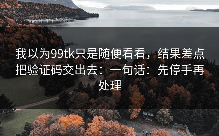 我以为99tk只是随便看看，结果差点把验证码交出去：一句话：先停手再处理