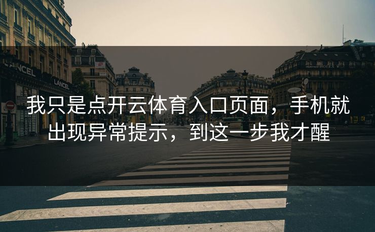 我只是点开云体育入口页面，手机就出现异常提示，到这一步我才醒