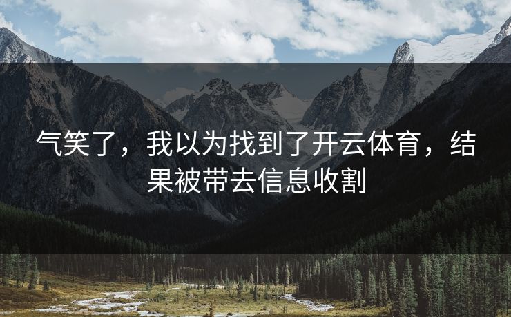 气笑了，我以为找到了开云体育，结果被带去信息收割